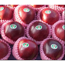 90% Red Color Fresh Huaniu Apple